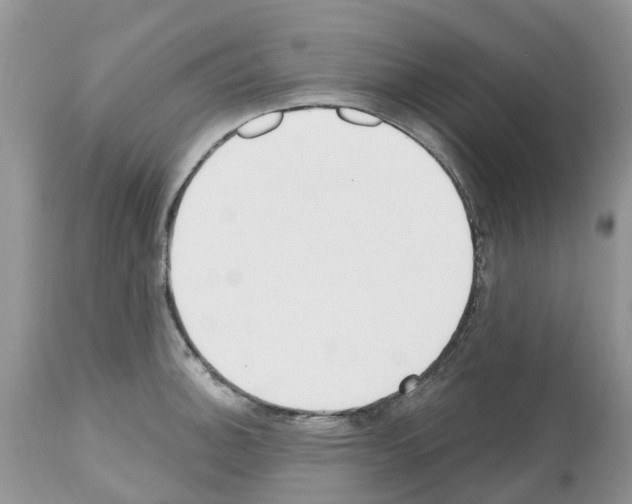 X0000112501140200909281151