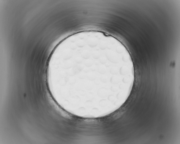 X0000112501142200909281151