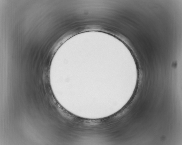 X0000112501145200909281151