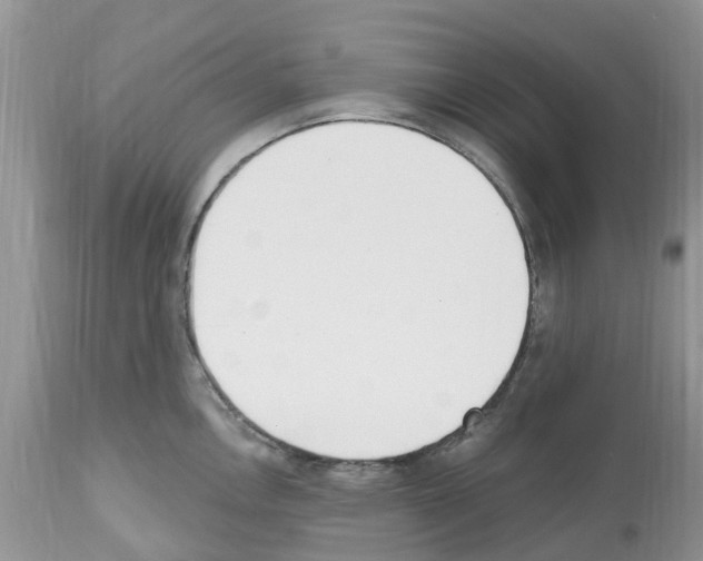 X0000112501146200909281151