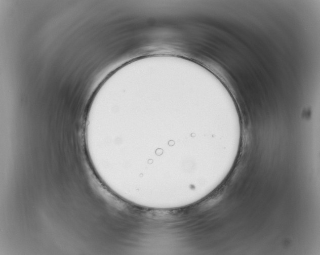 X0000112501149200909281151