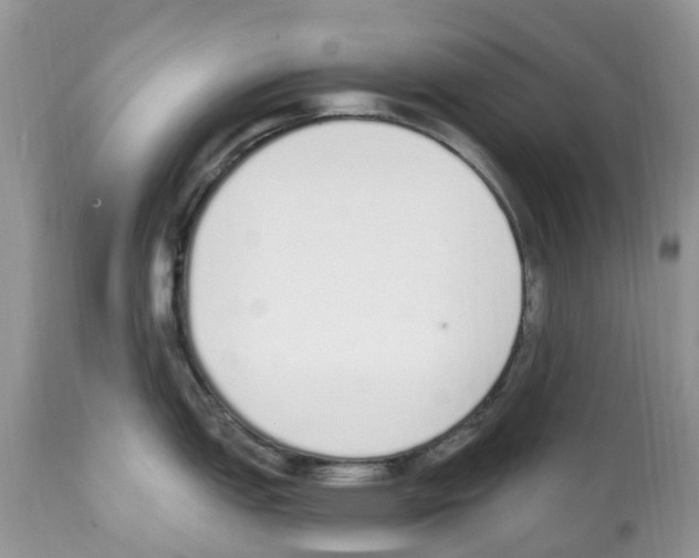 X0000112501151200909281151