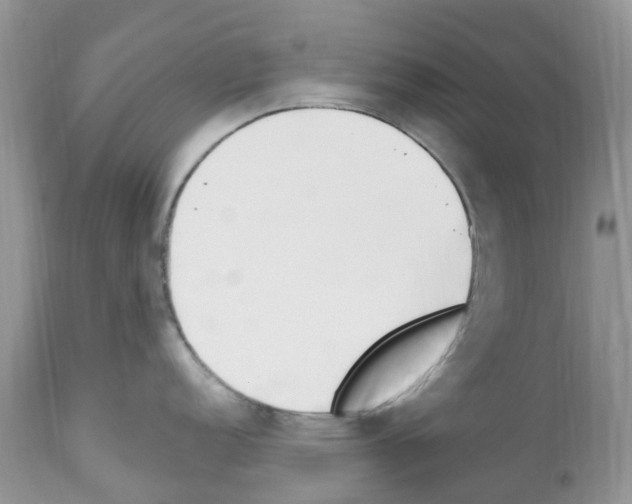 X0000112501152200909281151