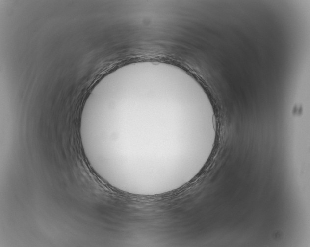 X0000112501153200909281150