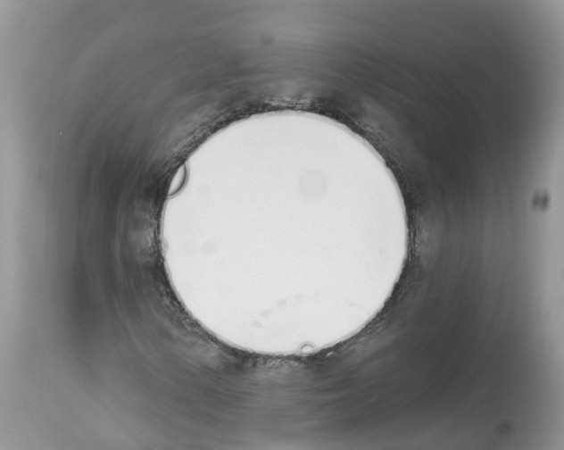 X0000112501154200909281150