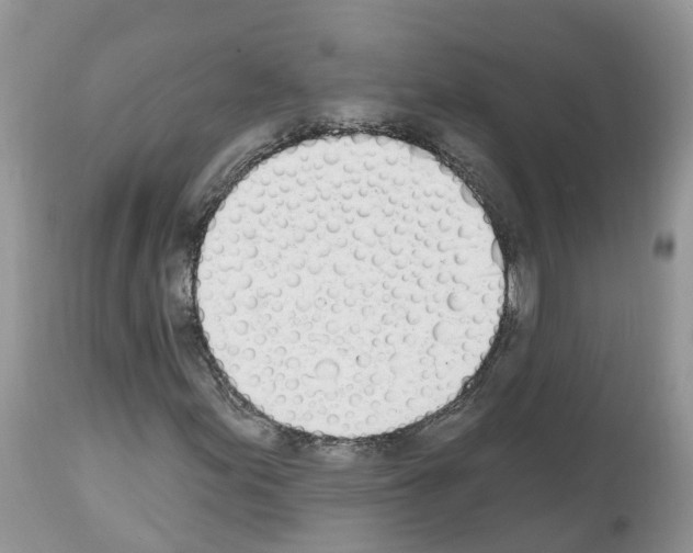 X0000112501155200909281150