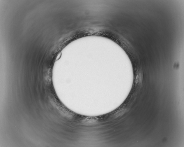 X0000112501156200909281150