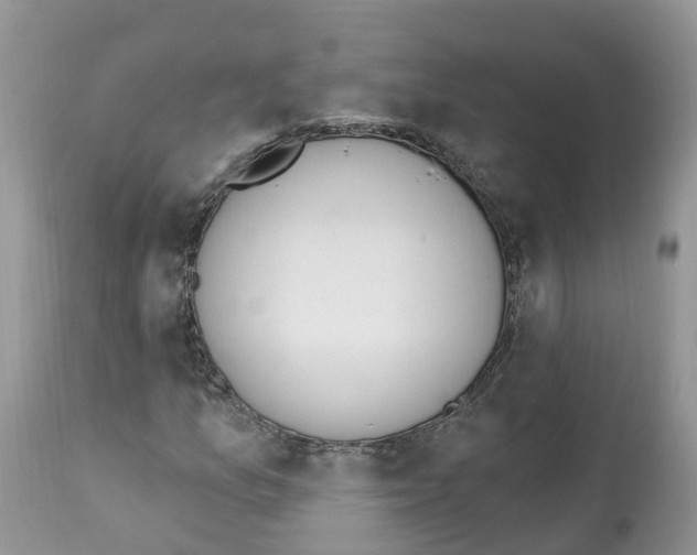 X0000112501157200909281150