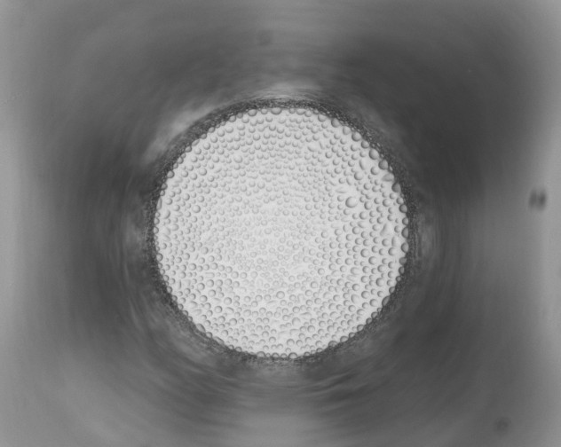 X0000112501158200909281150