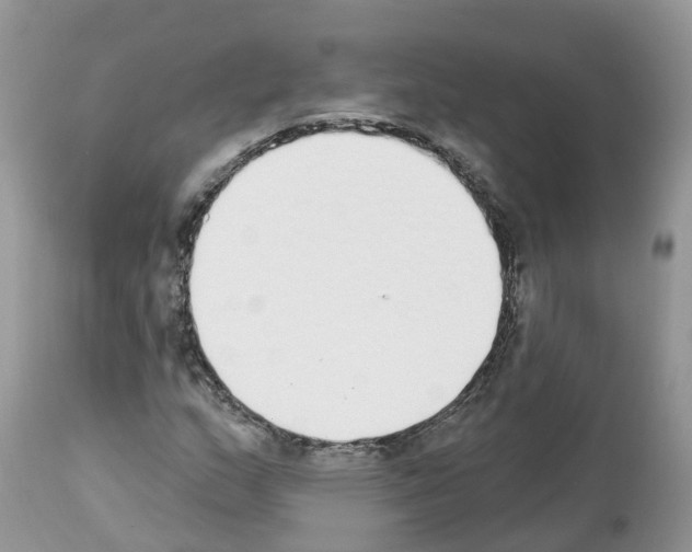 X0000112501159200909281150