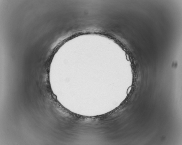 X0000112501160200909281150