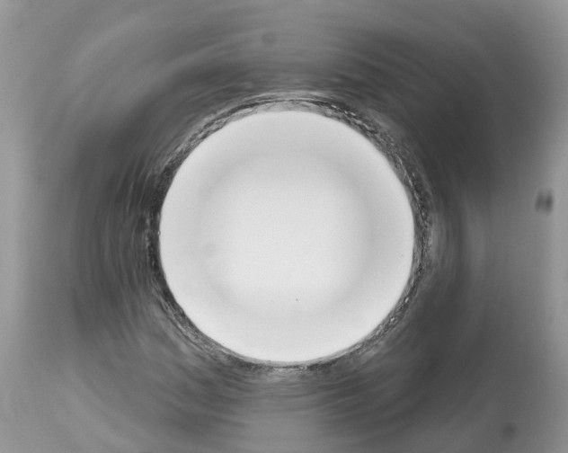 X0000112501161200909281150