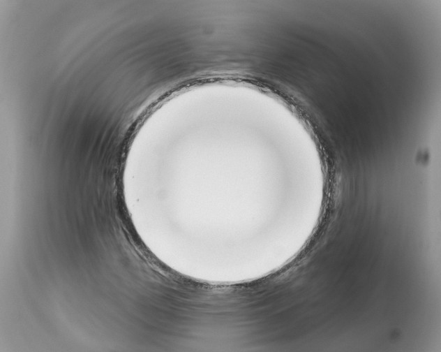 X0000112501162200909281150