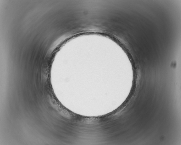 X0000112501163200909281150