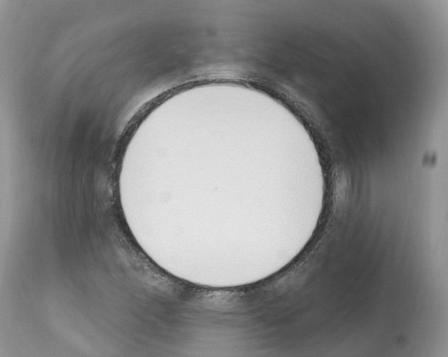 X0000112501166200909281150