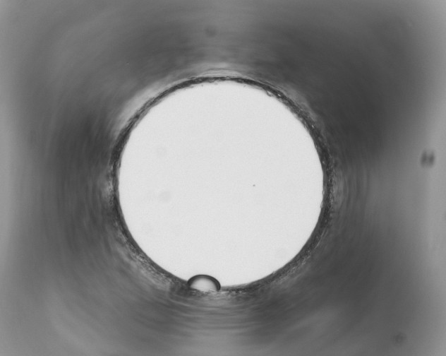 X0000112501167200909281150