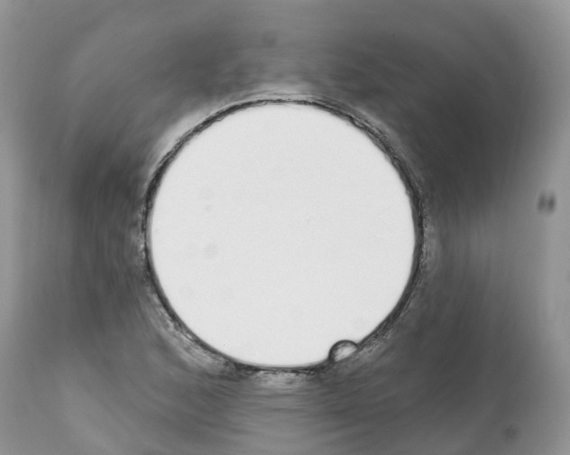 X0000112501168200909281150