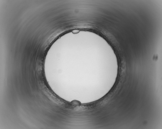 X0000112501169200909281150