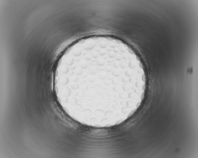 X0000112501171200909281150