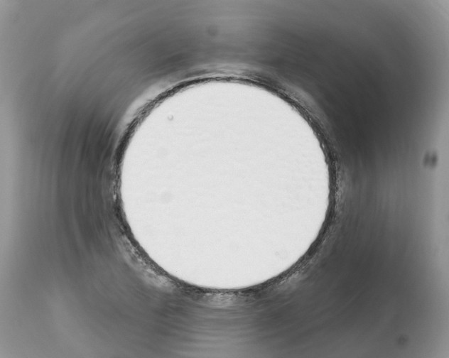 X0000112501172200909281150