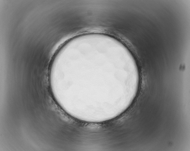 X0000112501174200909281150