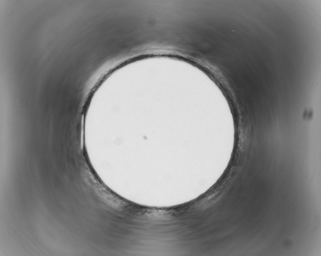 X0000112501175200909281150