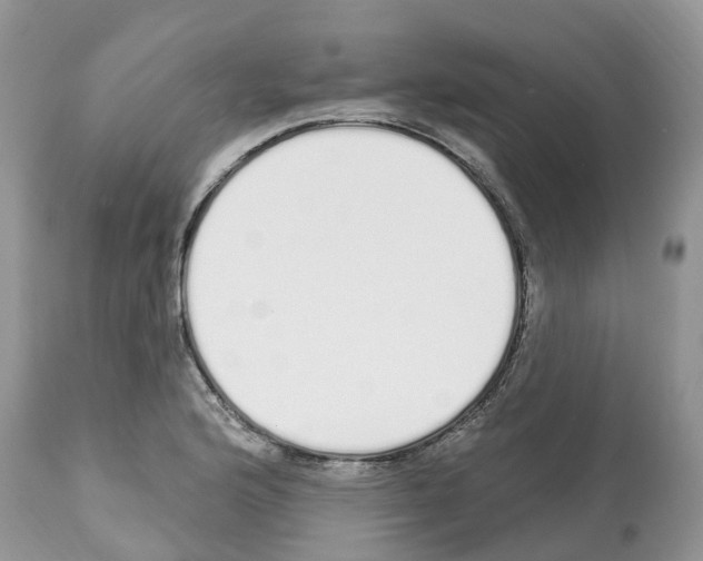 X0000112501176200909281150