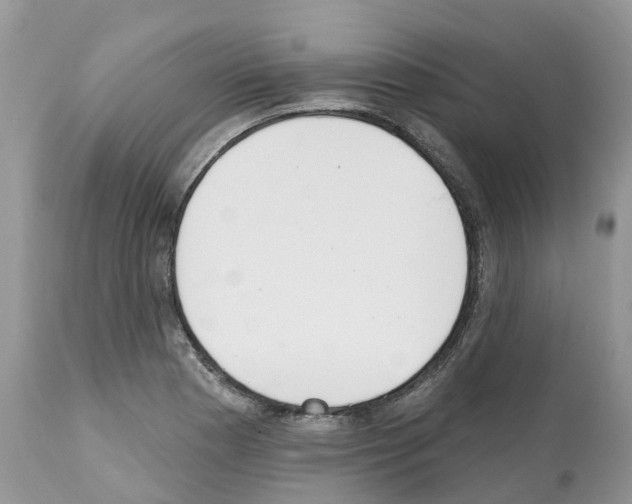 X0000112501177200909281150