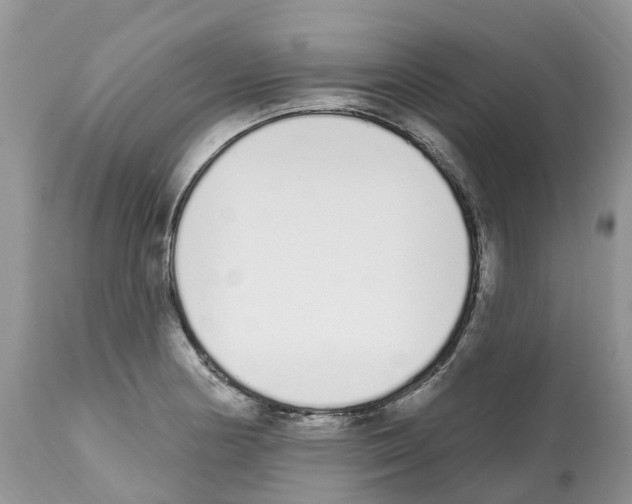 X0000112501178200909281150