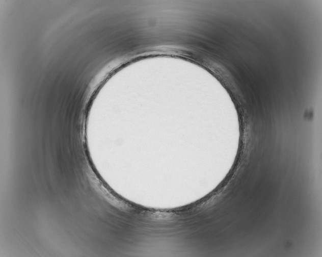 X0000112501180200909281150