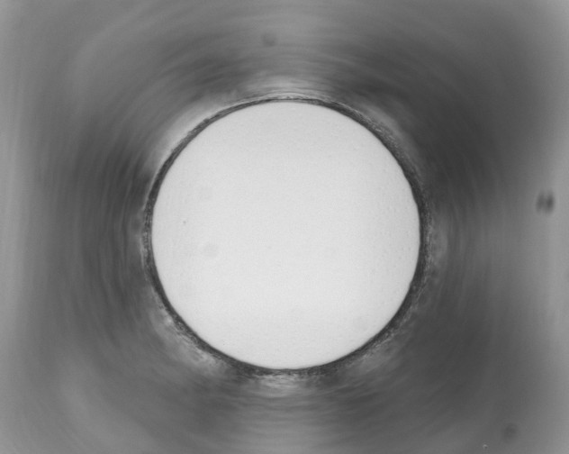 X0000112501182200909281150