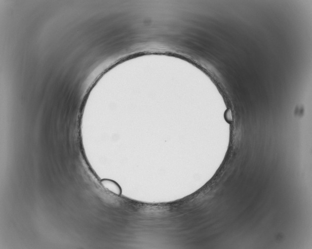 X0000112501183200909281150