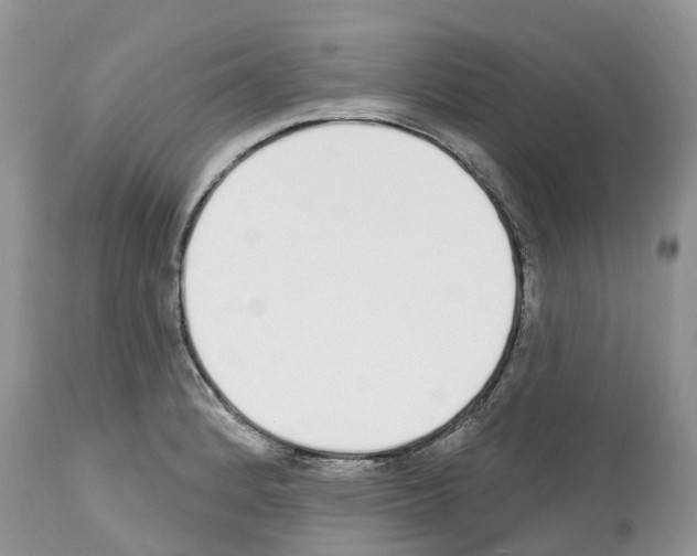 X0000112501184200909281150