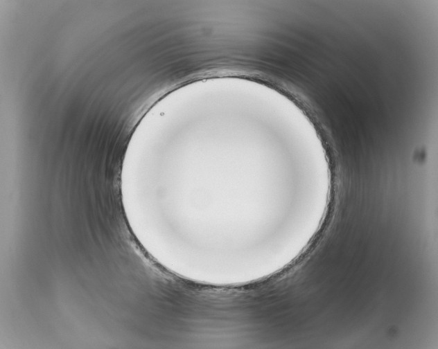 X0000112501185200909281150