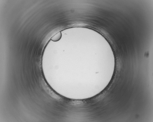 X0000112501186200909281150