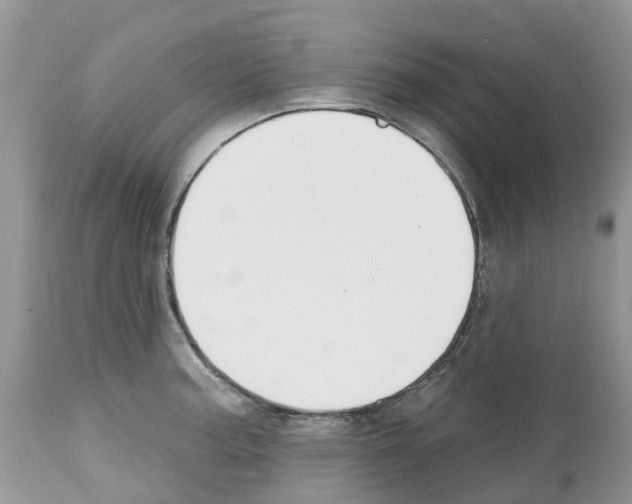 X0000112501187200909281150