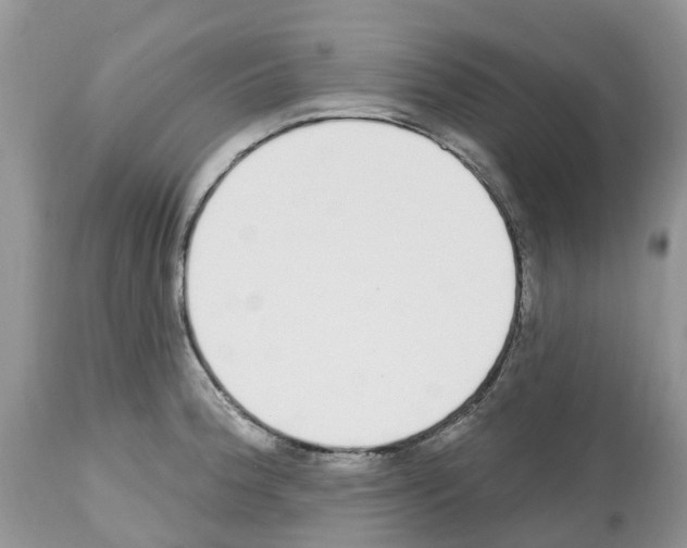 X0000112501188200909281150