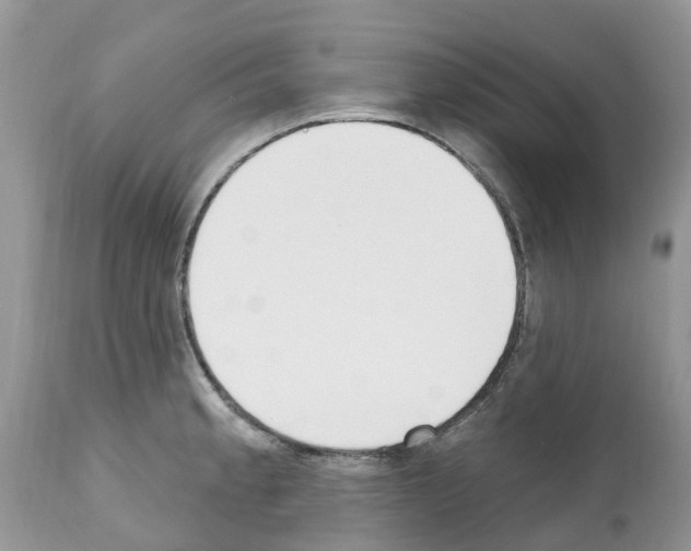 X0000112501189200909281150