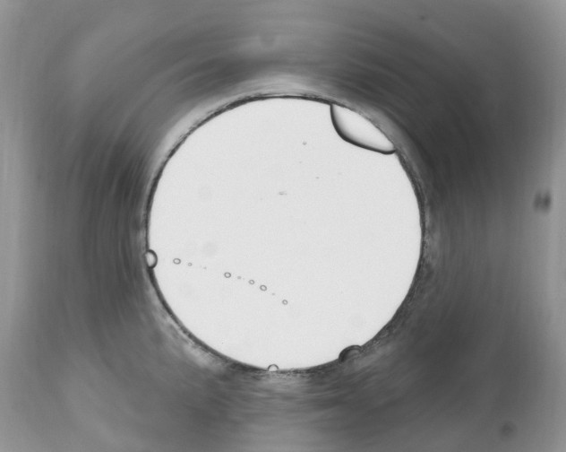 X0000112501191200909281149