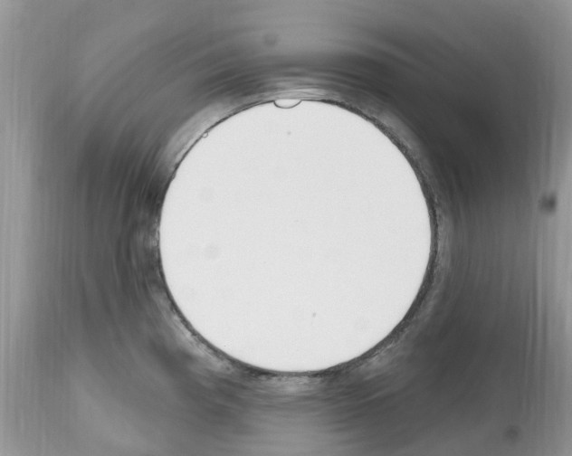 X0000112501193200909281149