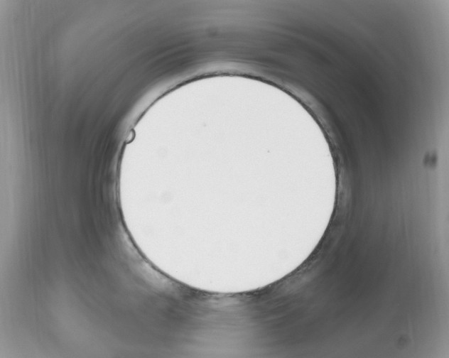 X0000112501199200909281149