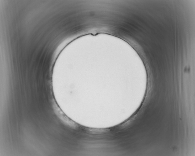 X0000112501200200909281149