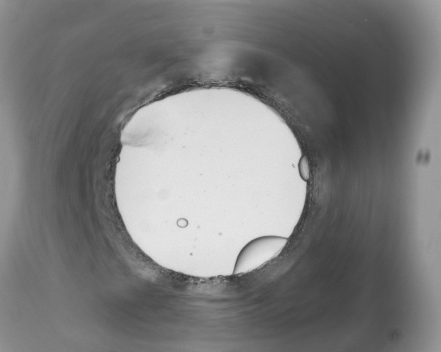 X0000112501201200909281149