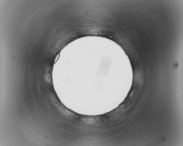 X0000112501202200909281149