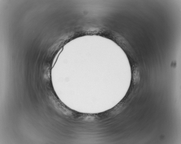 X0000112501204200909281149