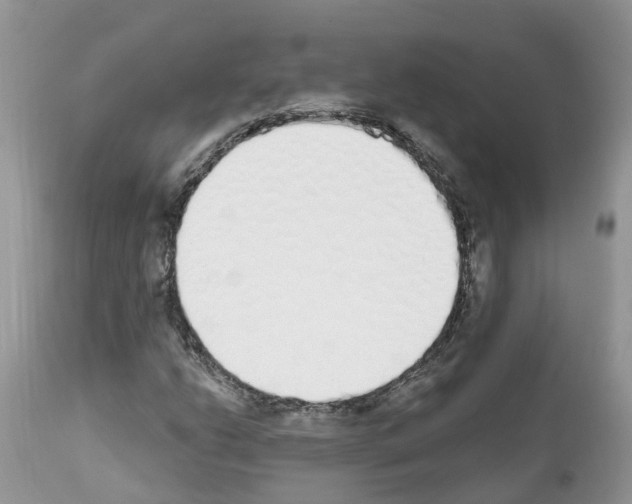 X0000112501206200909281149