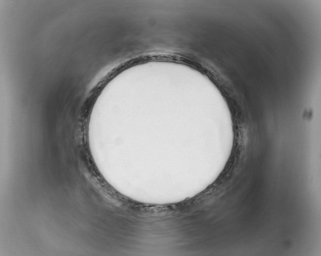 X0000112501208200909281149