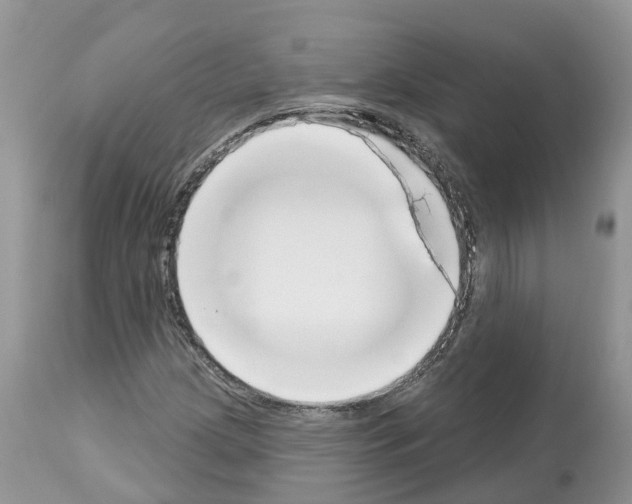 X0000112501209200909281149