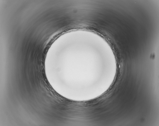 X0000112501210200909281149