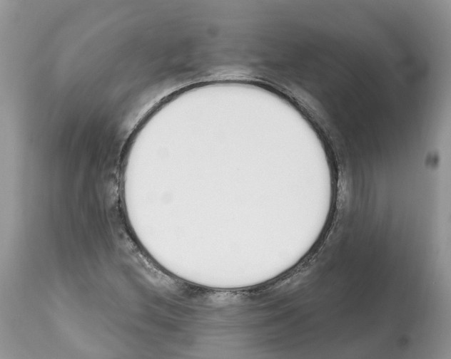 X0000112501212200909281149